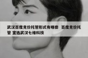 武汉百度竞价托管形式有哪些  百度竞价托管 宜选武汉七维科技