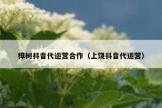 樟树抖音代运营合作（上饶抖音代运营）