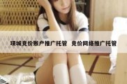 项城竞价账户推广托管  竞价网络推广托管