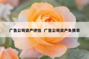 广告公司资产评估  广告公司资产负债率