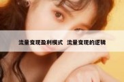 流量变现盈利模式  流量变现的逻辑