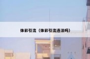 体彩引流（体彩引流违法吗）