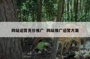 网站运营竞价推广  网站推广运营方案