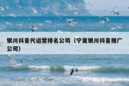 银川抖音代运营排名公司（宁夏银川抖音推广公司）