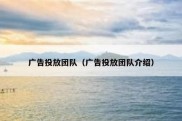 广告投放团队（广告投放团队介绍）