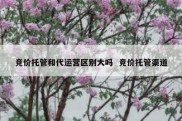 竞价托管和代运营区别大吗  竞价托管渠道