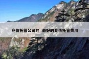 竞价托管公司的  最好的竞价托管费用
