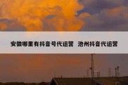 安徽哪里有抖音号代运营  池州抖音代运营