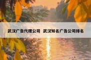 武汉广告代理公司  武汉知名广告公司排名