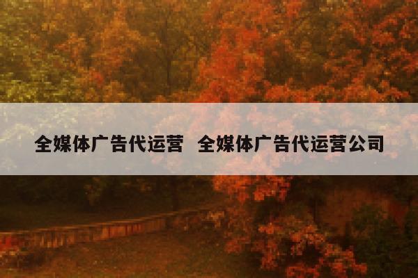 全媒体广告代运营  全媒体广告代运营公司 第1张
