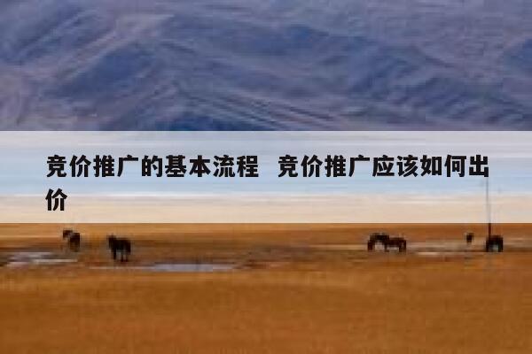 竞价推广的基本流程  竞价推广应该如何出价 第1张
