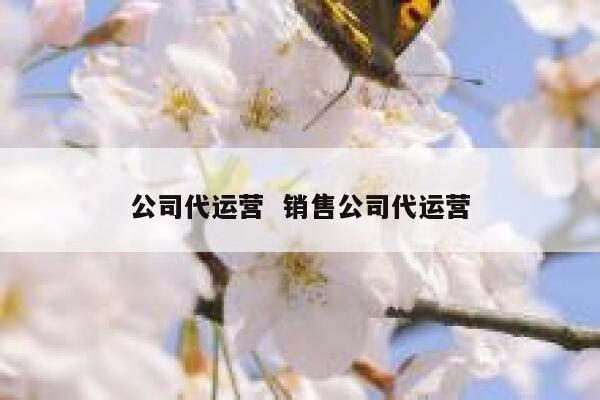 公司代运营  销售公司代运营