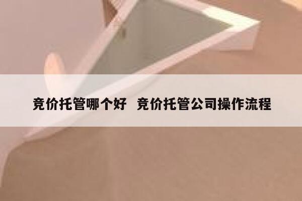 竞价托管哪个好 竞价托管公司操作流程