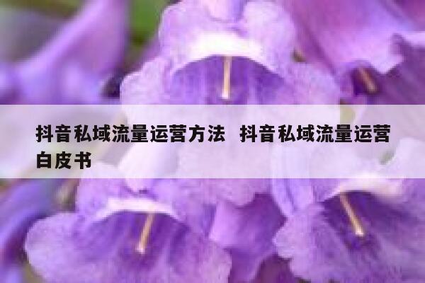 抖音私域流量运营方法 抖音私域流量运营白皮书