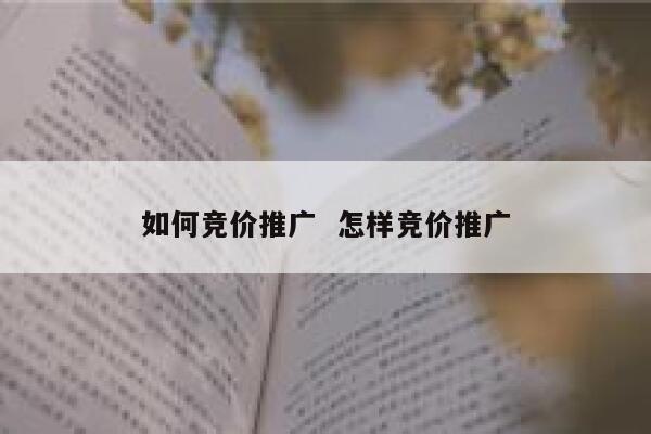 如何竞价推广  怎样竞价推广 第1张