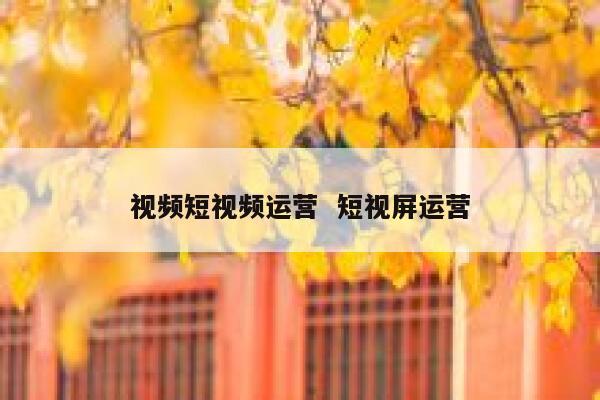 视频短视频运营 短视屏运营