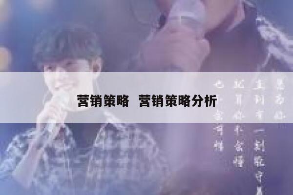 营销策略 营销策略分析