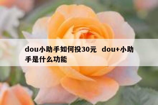 dou小助手如何投30元  dou+小助手是什么功能