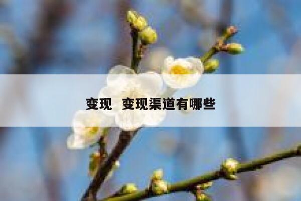 变现  变现渠道有哪些