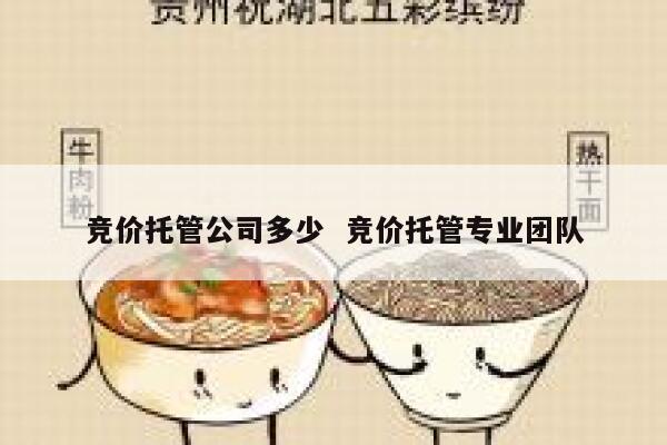 竞价托管公司多少 竞价托管专业团队