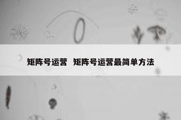 矩阵号运营 矩阵号运营最简单方法