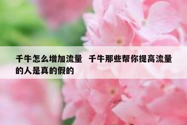 千牛怎么增加流量  千牛那些帮你提高流量的人是真的假的
