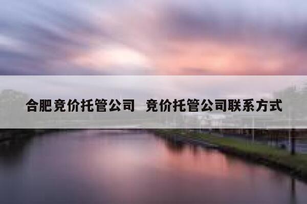 合肥竞价托管公司  竞价托管公司联系方式