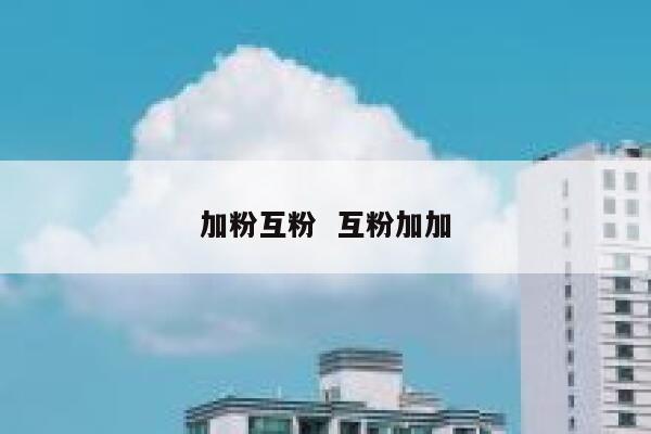 加粉互粉  互粉加加