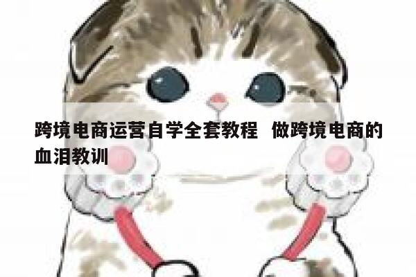 跨境电商运营自学全套教程  做跨境电商的血泪教训