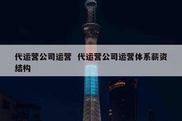 代运营公司运营  代运营公司运营体系薪资结构