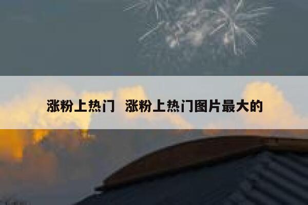 涨粉上热门  涨粉上热门图片最大的