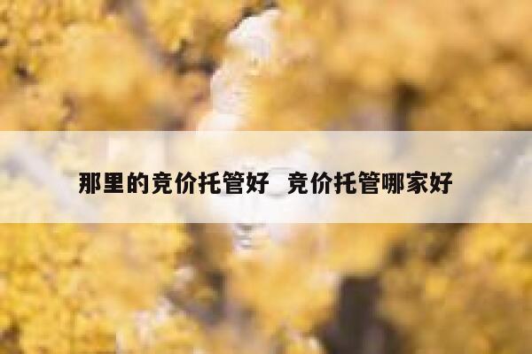 那里的竞价托管好  竞价托管哪家好