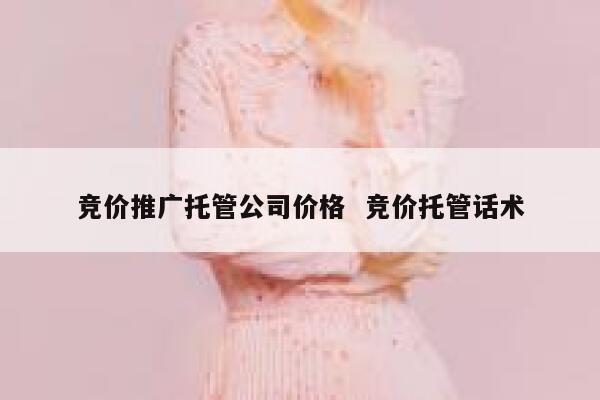 竞价推广托管公司价格  竞价托管话术