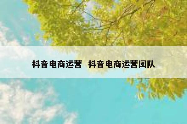 抖音电商运营 抖音电商运营团队