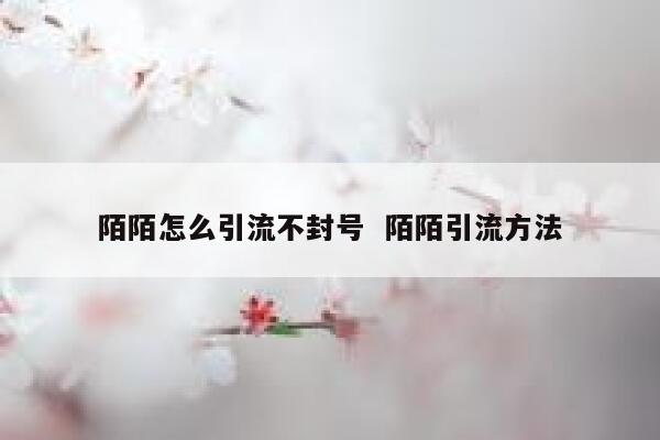 陌陌怎么引流不封号  陌陌引流方法 第1张