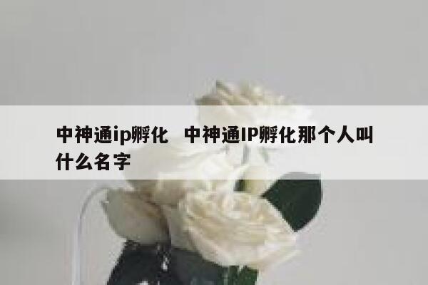 中神通ip孵化  中神通IP孵化那个人叫什么名字