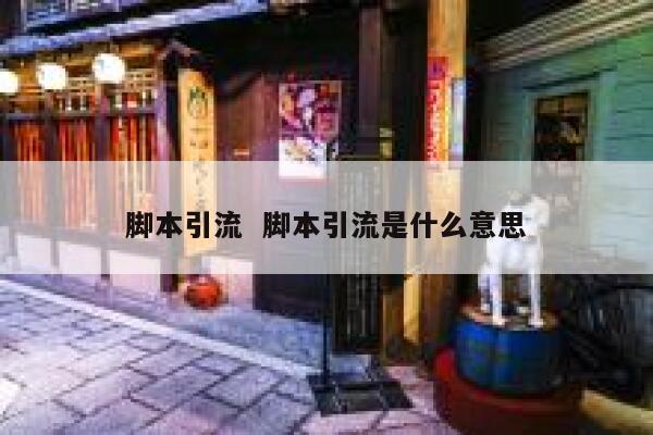脚本引流  脚本引流是什么意思