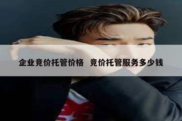 企业竞价托管价格  竞价托管服务多少钱