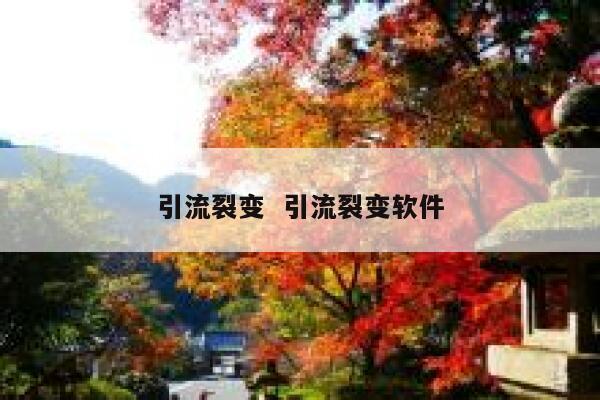 引流裂变  引流裂变软件