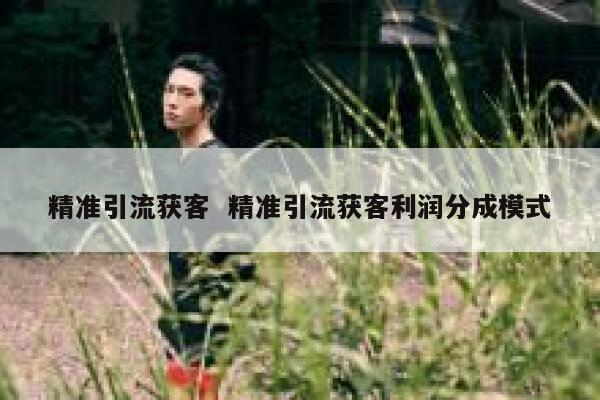 精准引流获客  精准引流获客利润分成模式 第1张