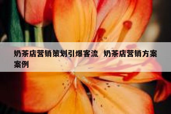 奶茶店营销策划引爆客流  奶茶店营销方案案例 第1张