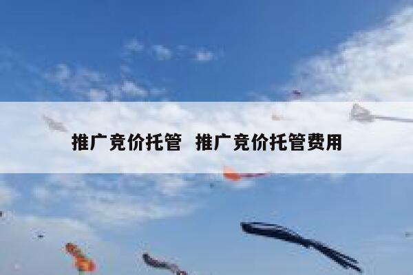 推广竞价托管 推广竞价托管费用