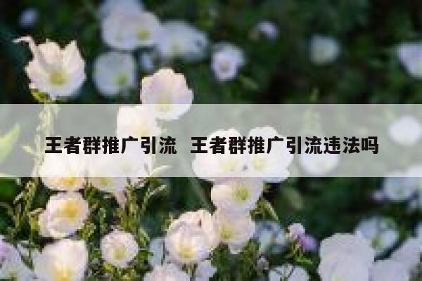 王者群推广引流  王者群推广引流违法吗