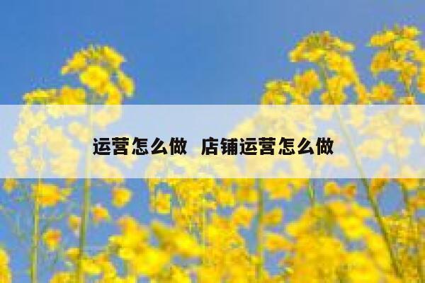 运营怎么做  店铺运营怎么做