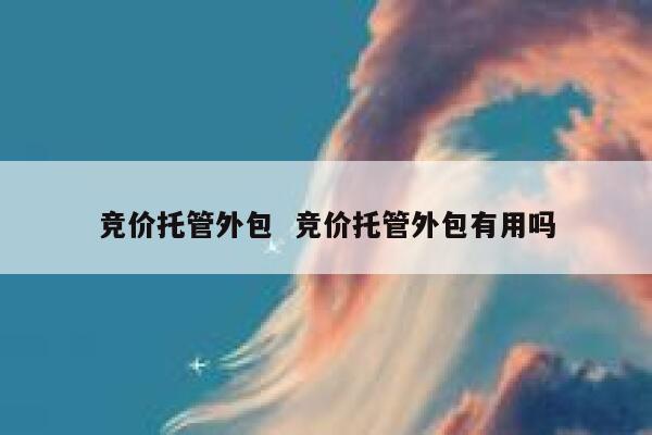 竞价托管外包 竞价托管外包有用吗