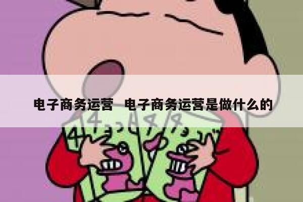电子商务运营  电子商务运营是做什么的