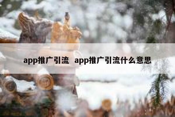 app推广引流  app推广引流什么意思