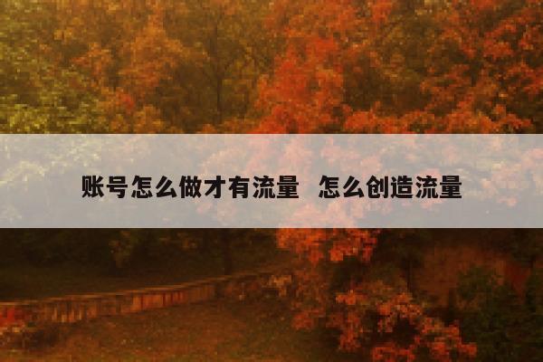 账号怎么做才有流量  怎么创造流量 第1张