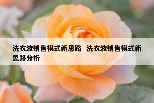 洗衣液销售模式新思路  洗衣液销售模式新思路分析 第1张