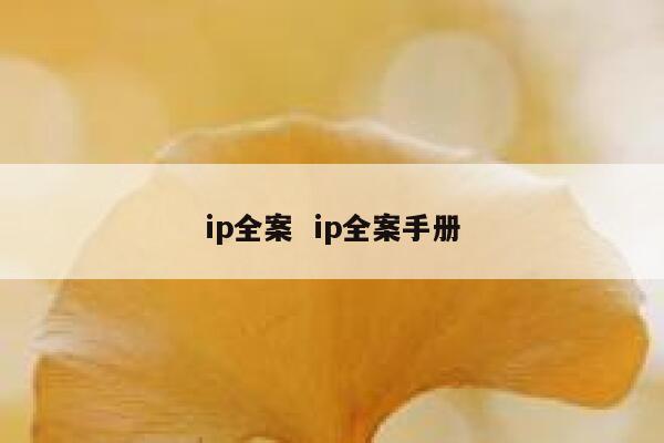 ip全案 ip全案手册